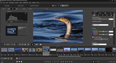 Digital Photo Professional 4.18.1 for macOS .